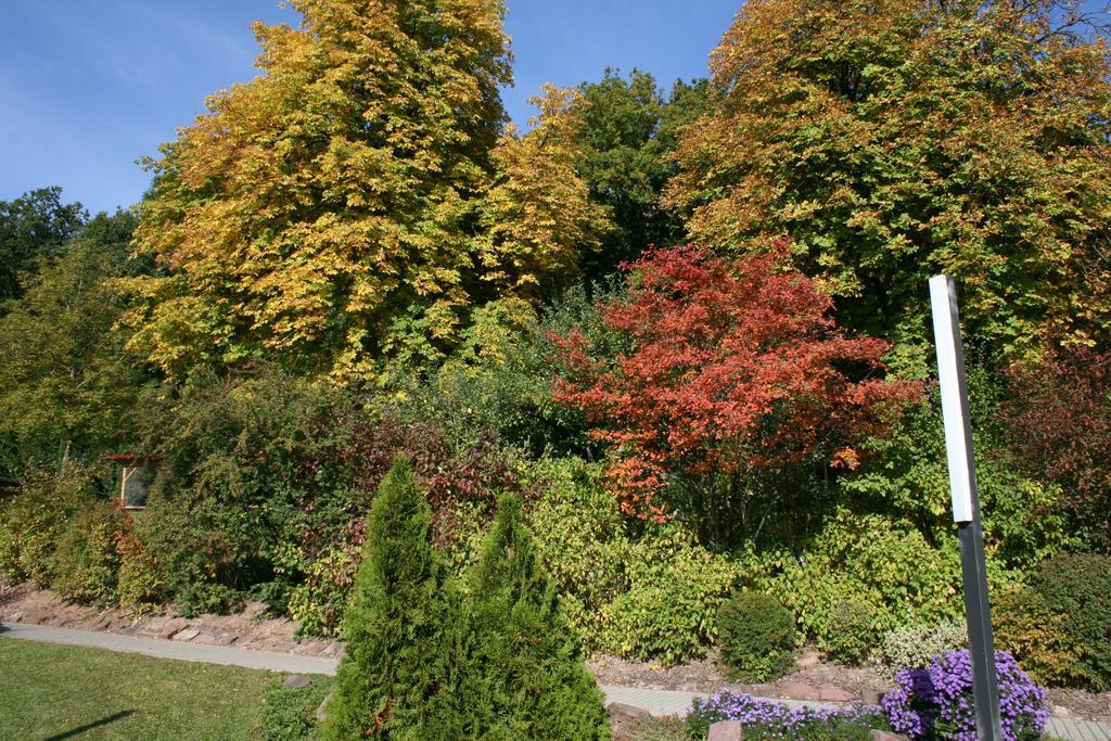 Seniorenresidenz Parkwohnstift Bad Kissingen Zewnętrze zdjęcie